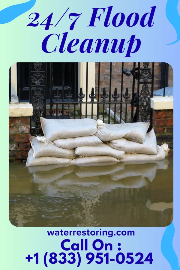24/7 Flood Cleanup in Freistatt, MO