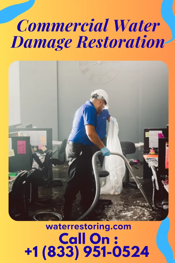Commercial Water Damage Restoration in Freistatt, MO