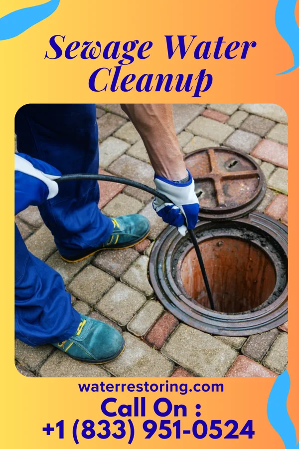 Sewage Water Cleanup in Freistatt, MO